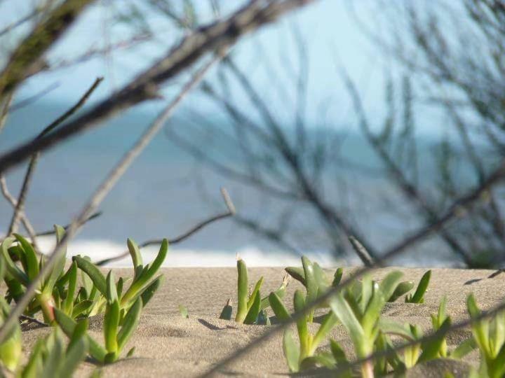 Cabanas Mapuche Mar de Las Pampas Zewnętrze zdjęcie